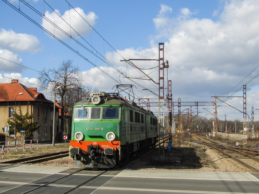 Zieloniak na Makoszowach